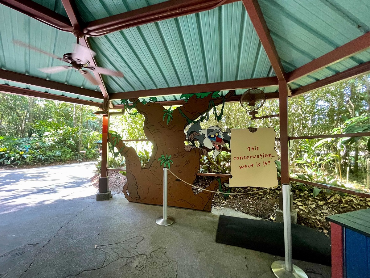 Habitat Habit! Disney's Animal Kingdom