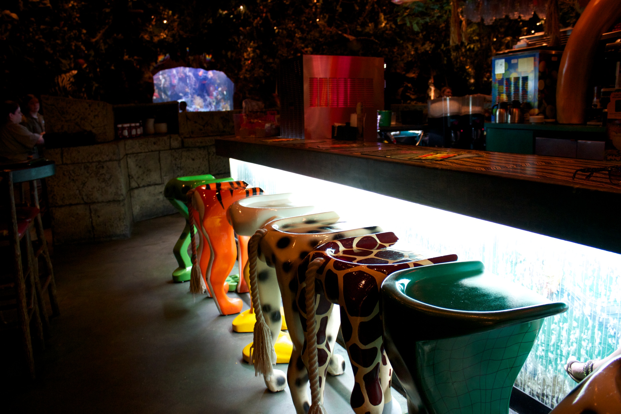 Rainforest Cafe Animal Kingdom