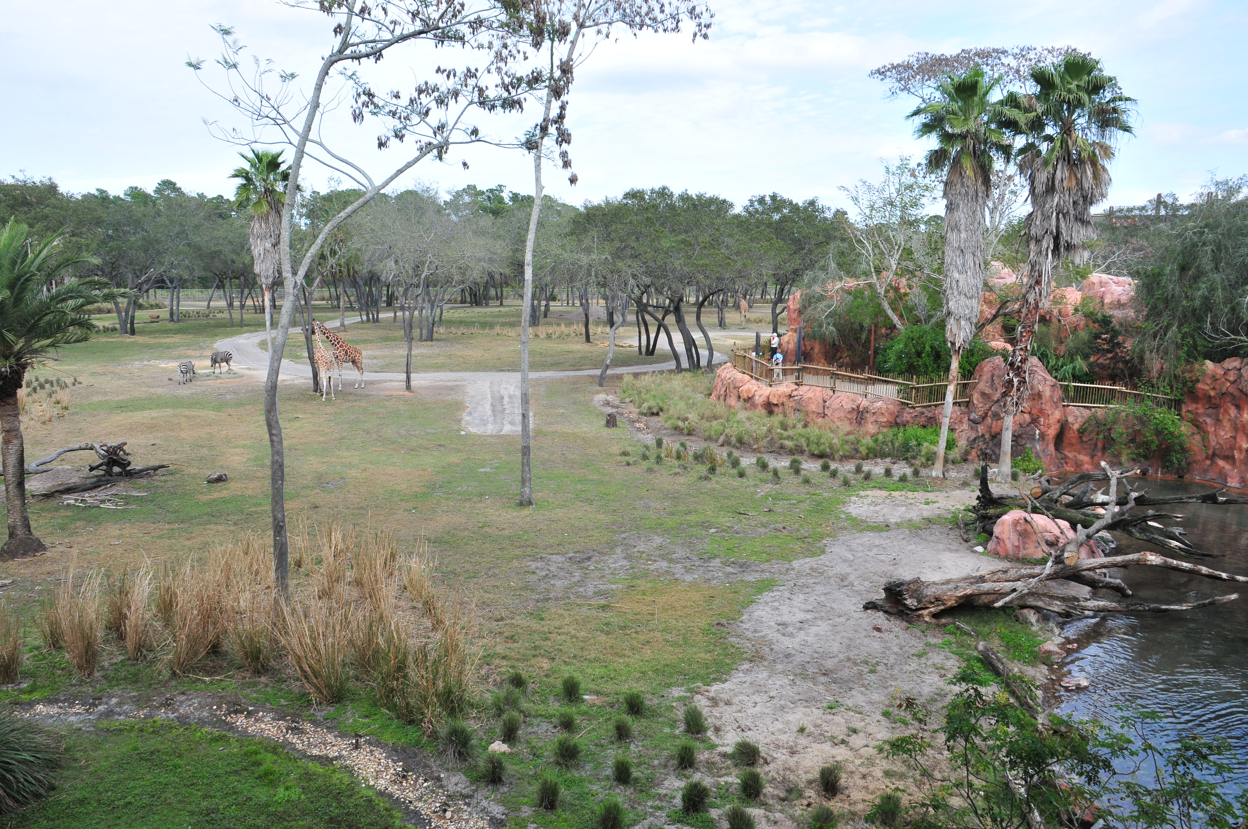 Room View Photo