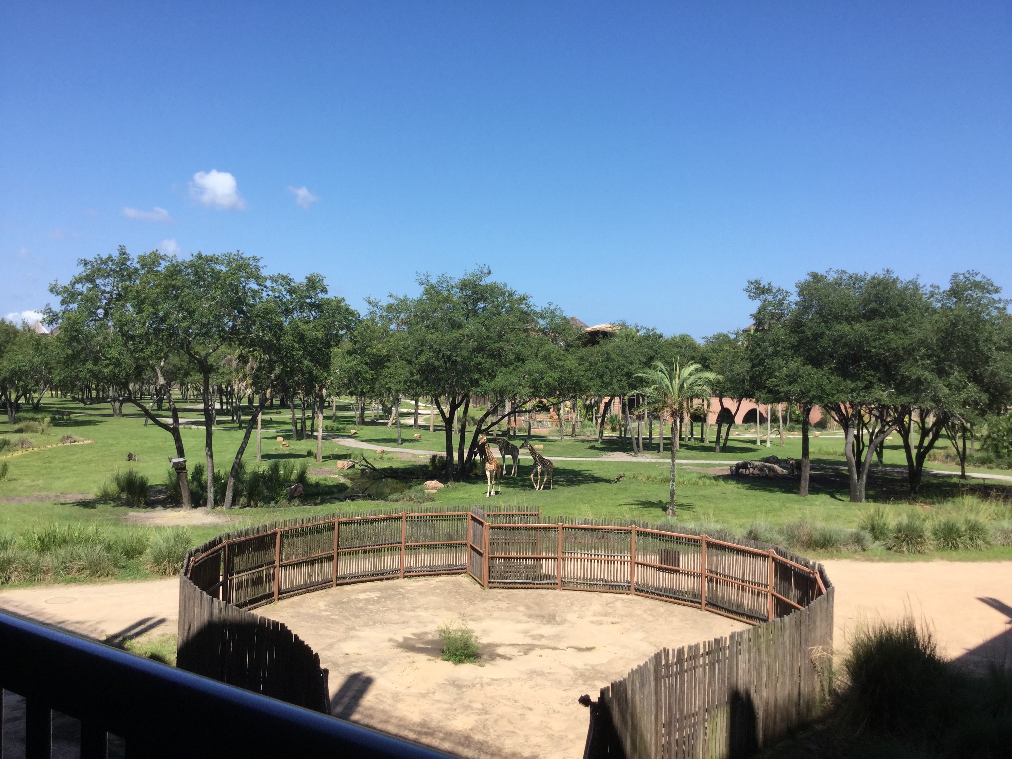 Room View Photo