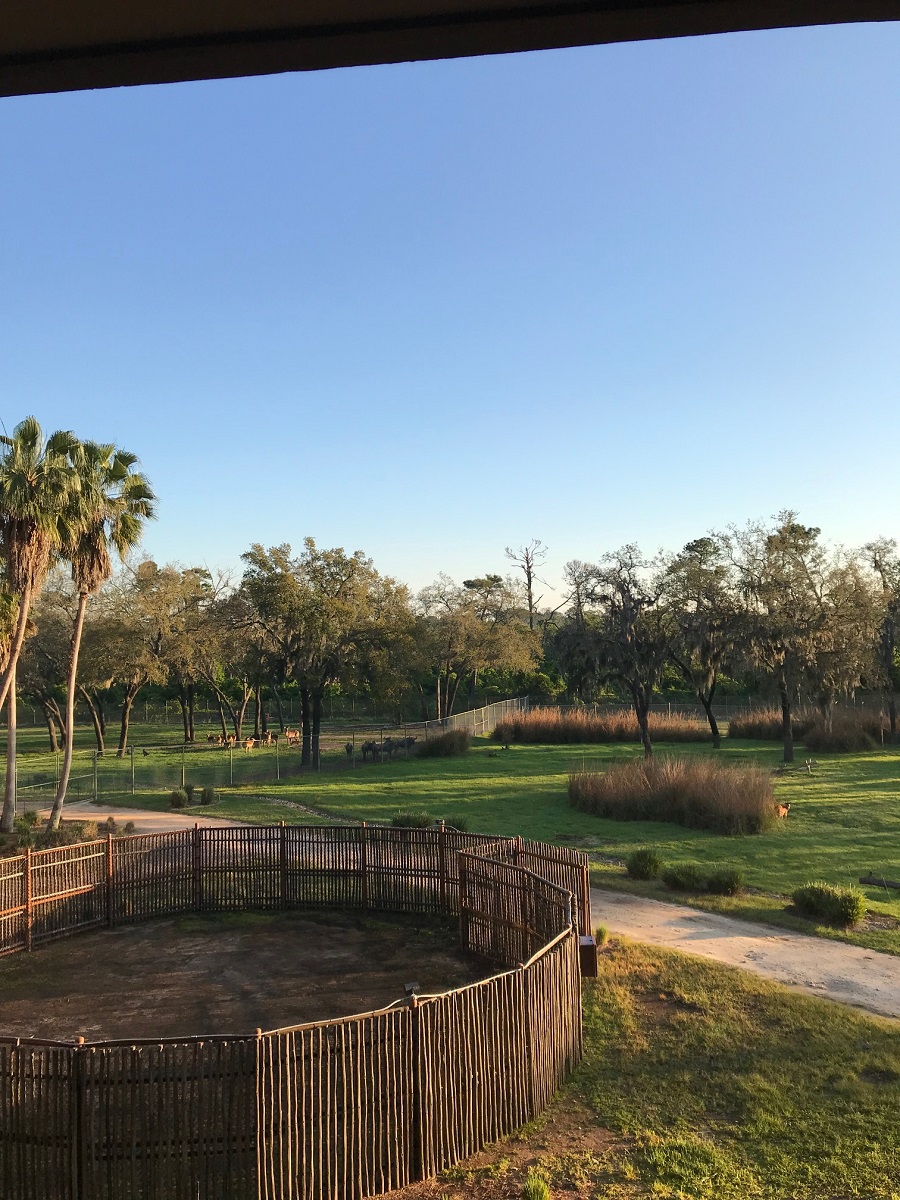 Room View Photo