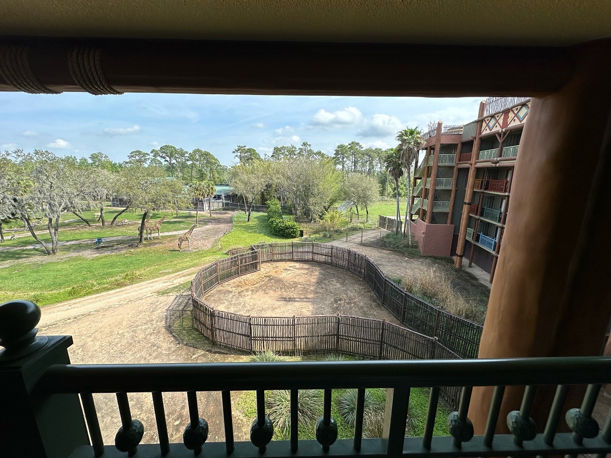 Room View Photo