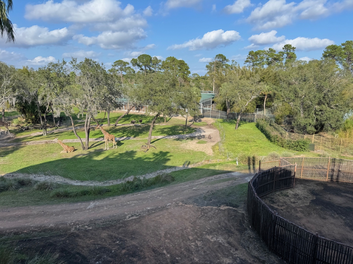 Room View Photo