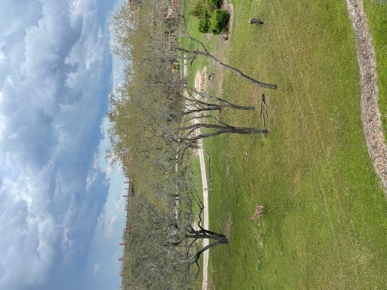 Room View Photo