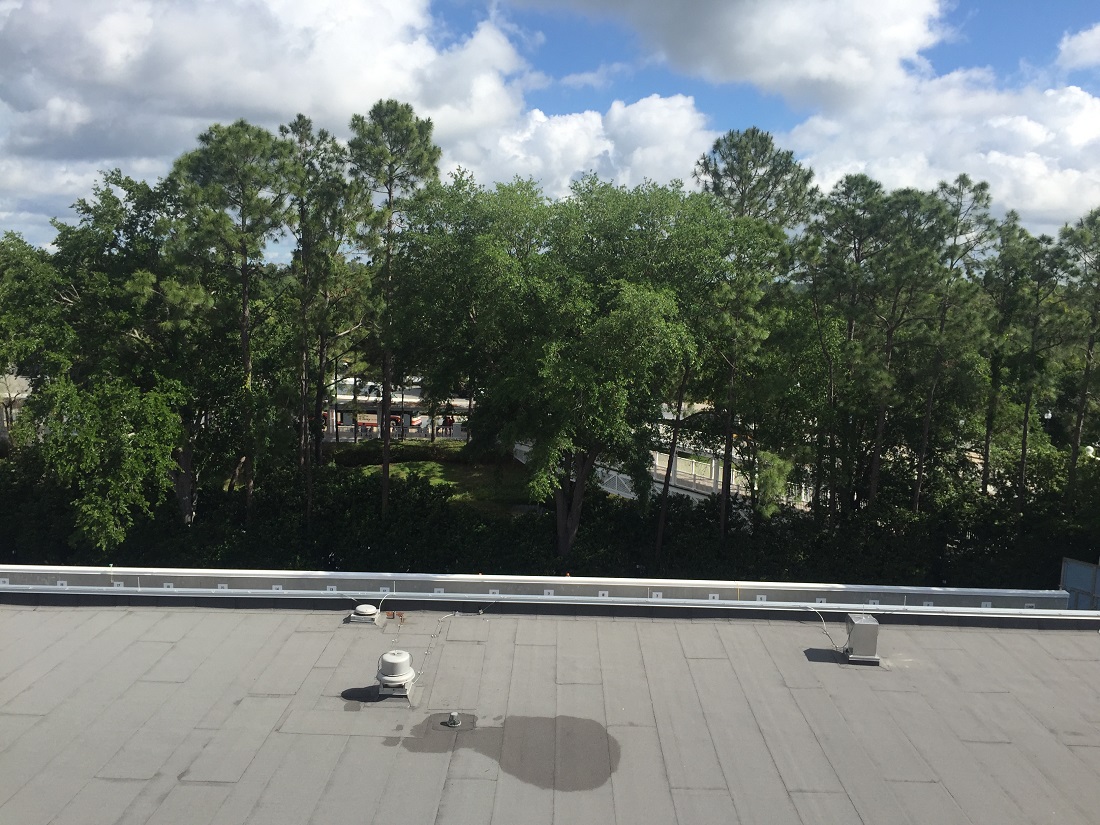 Room View Photo
