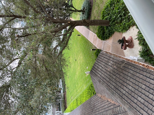 Room View Photo