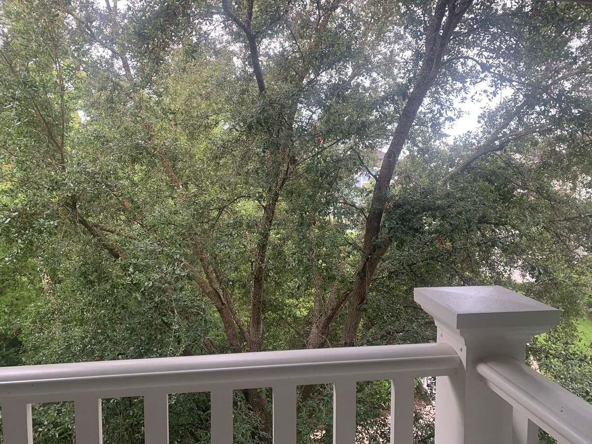 Room View Photo