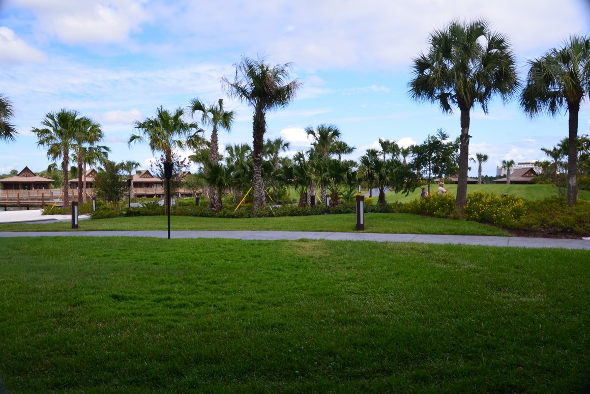 Room View Photo