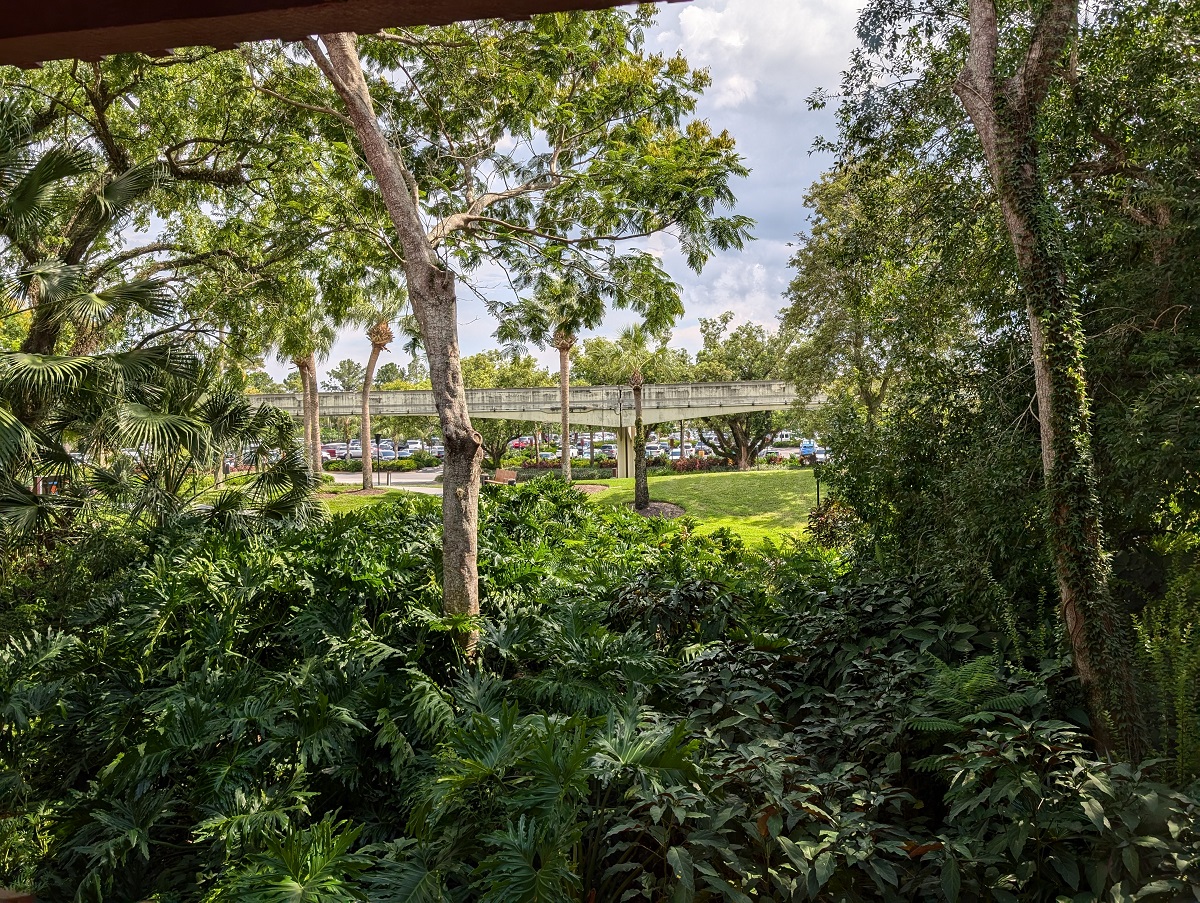 Room View Photo