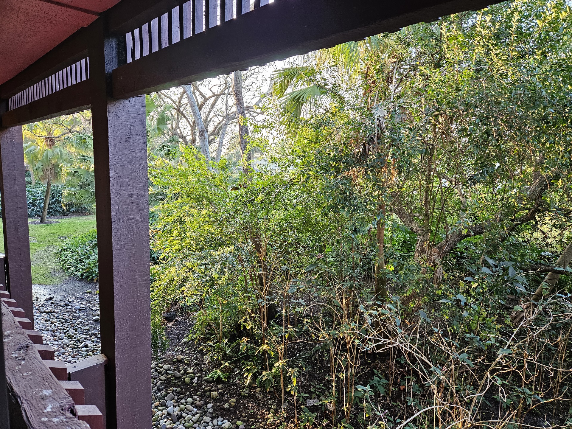 Room View Photo