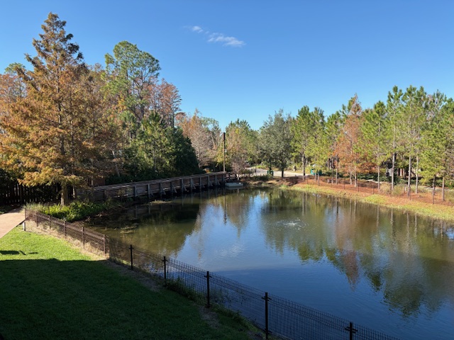 Room View Photo