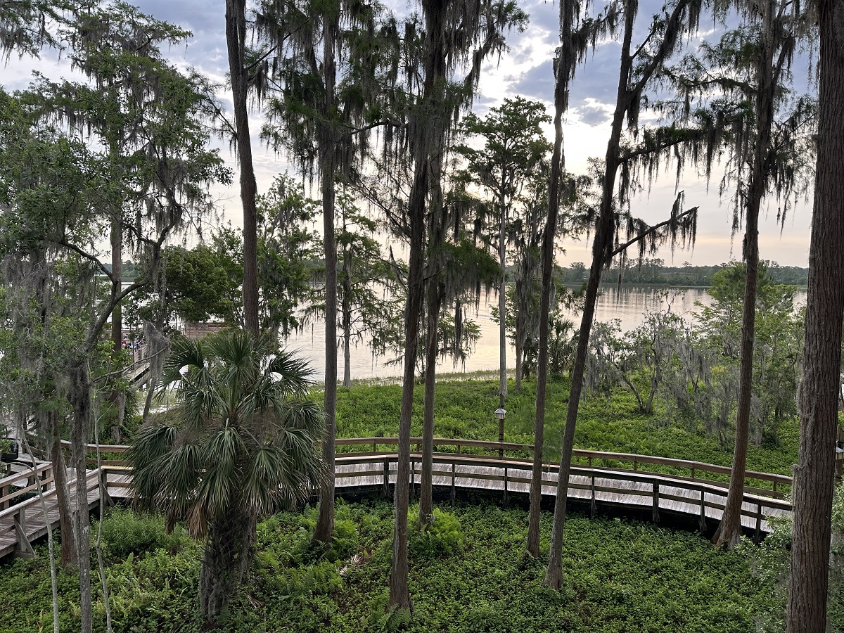 Room View Photo