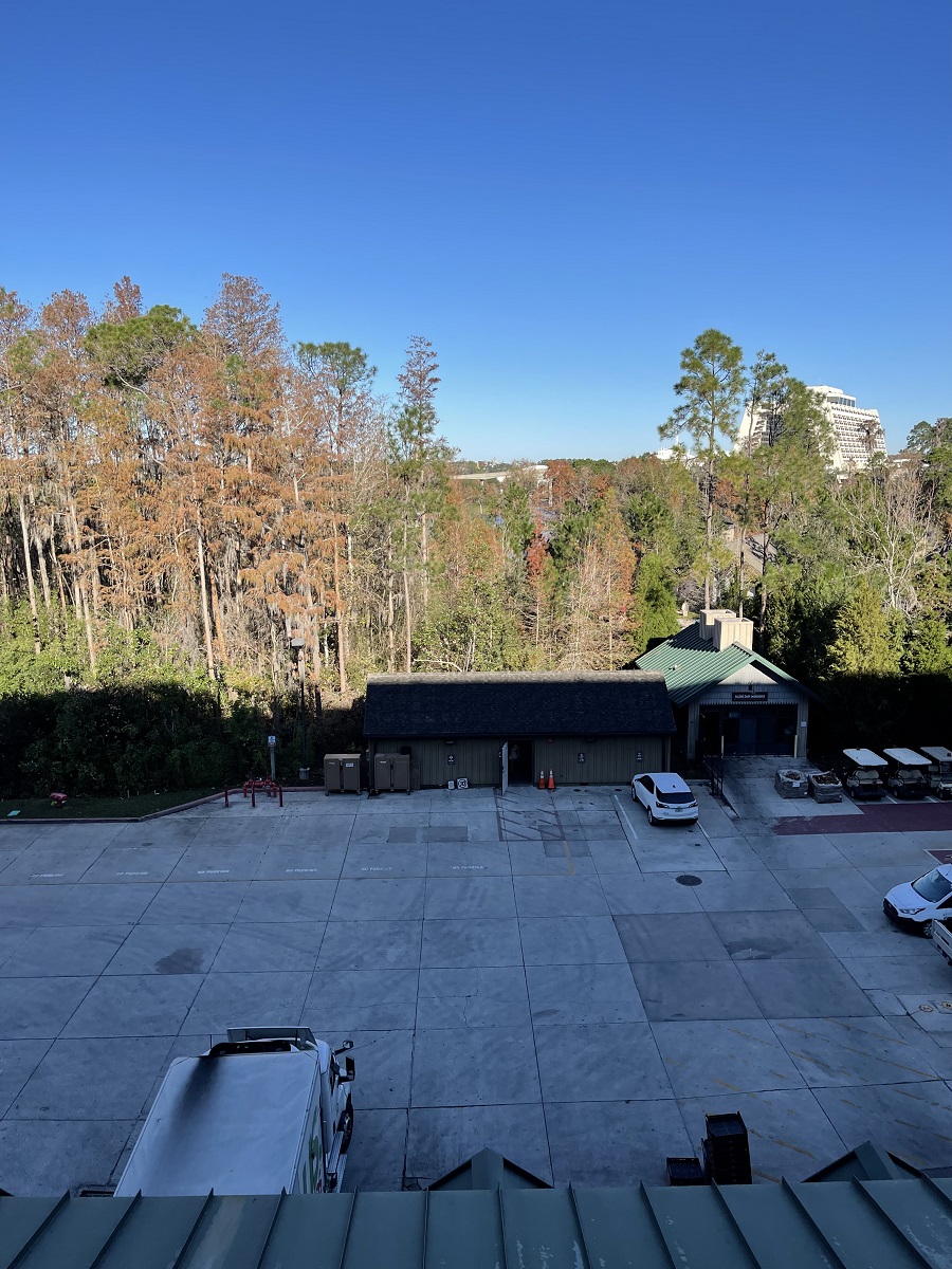 Room View Photo
