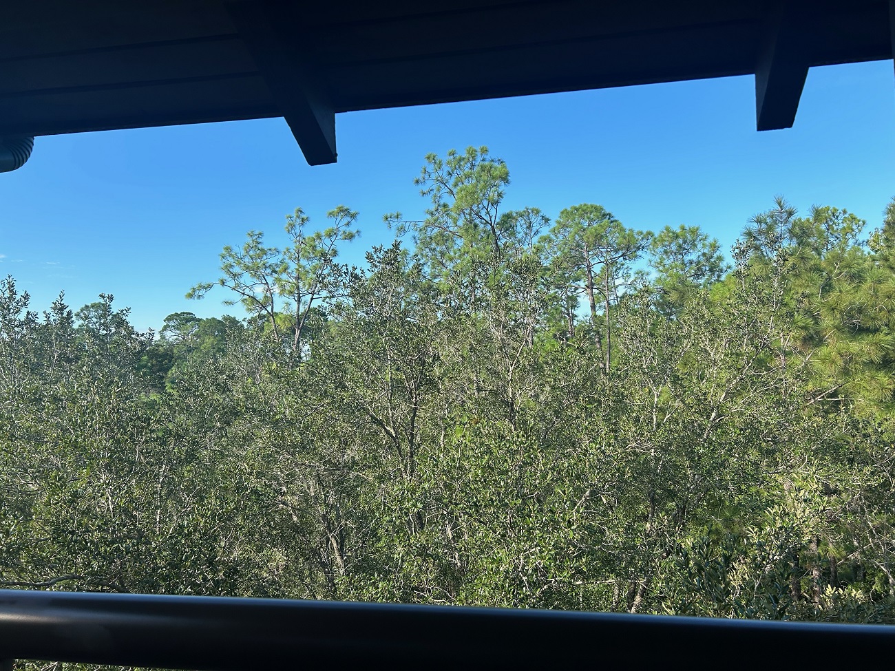 Room View Photo