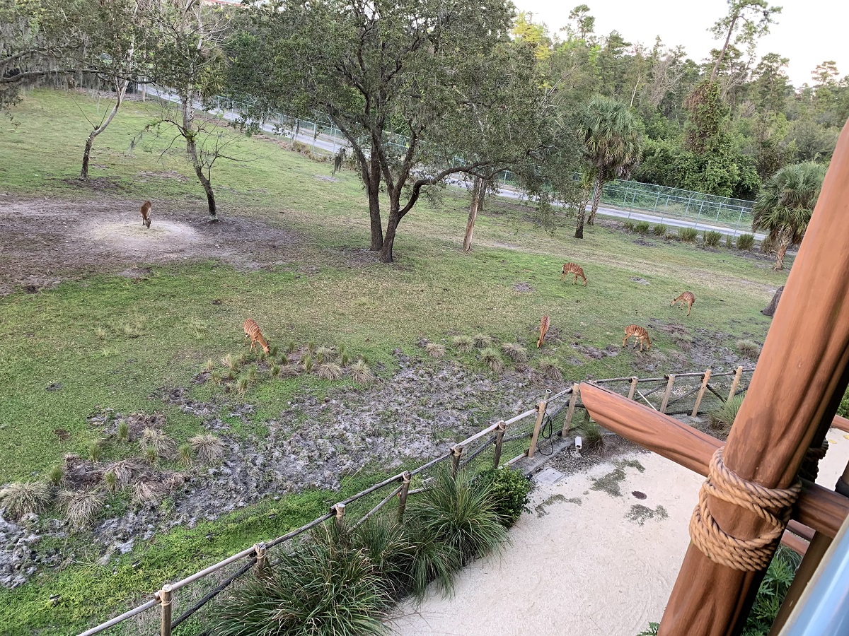 Room View Photo