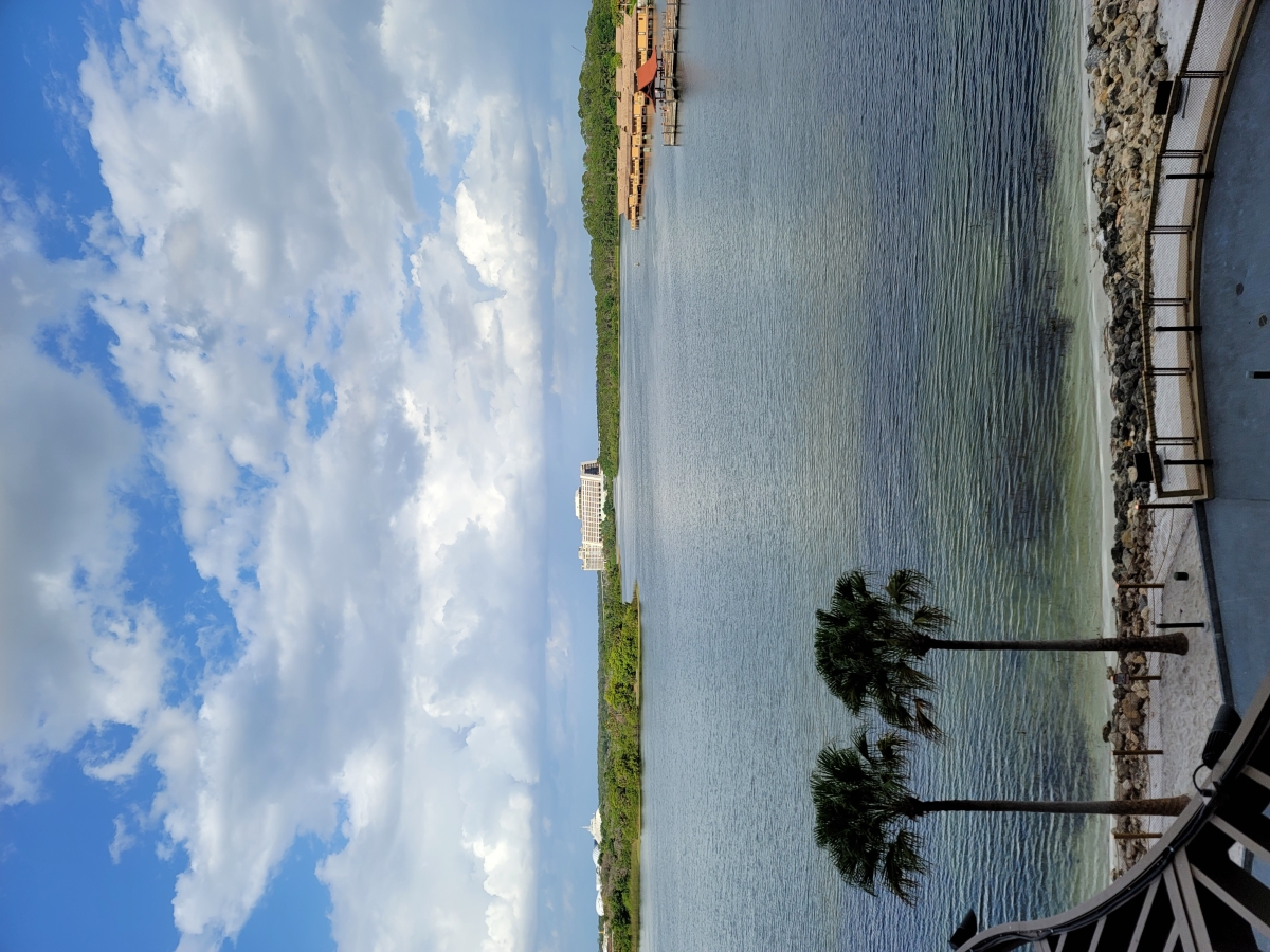 Room View Photo