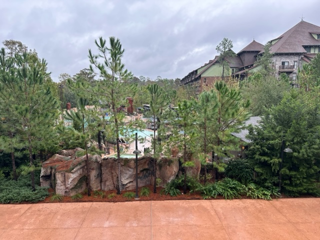 Room View Photo