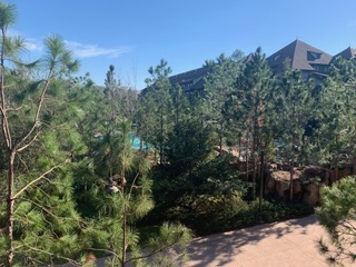 Room View Photo
