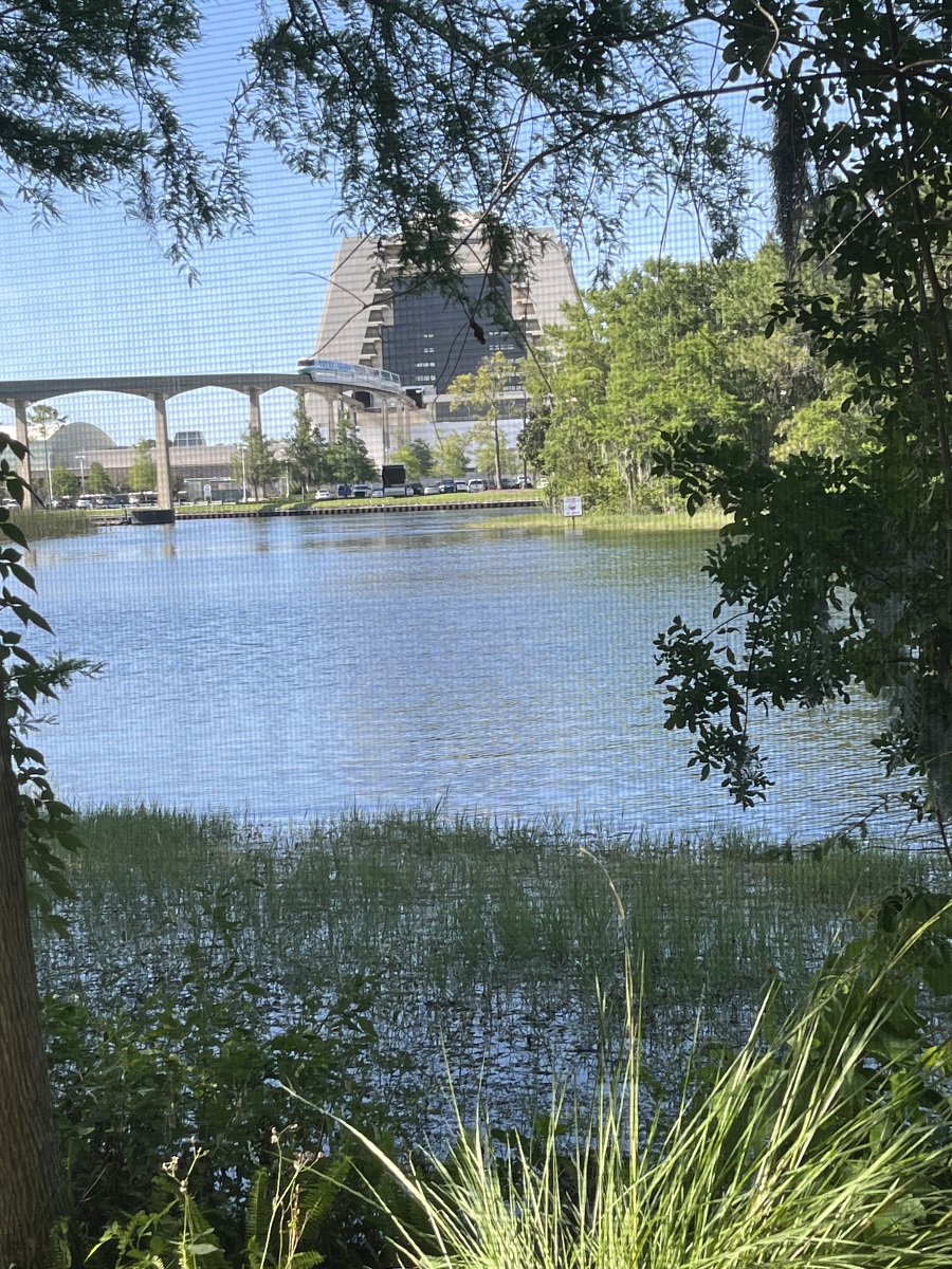 Room View Photo