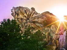 Grizzly River Run